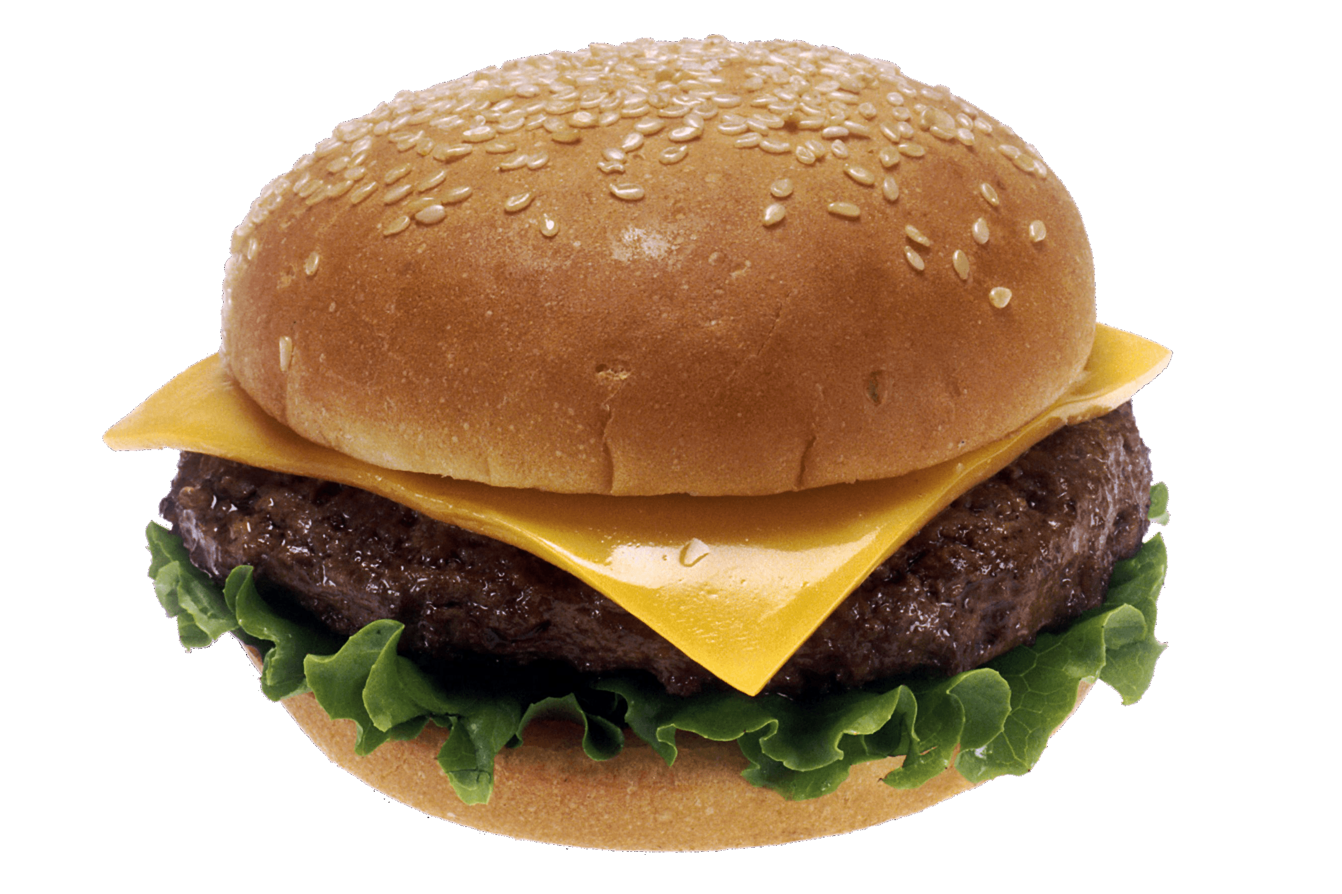 53-hamburger-burger-png-image.png